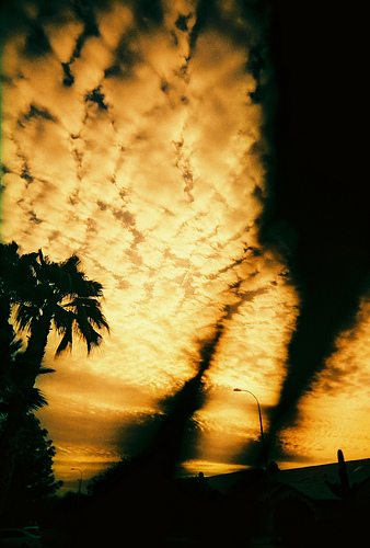 Banca Mondiale: “I cambiamenti climatici costeranno 475 mld ai più poveri”